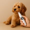 2-in-1 Pet Nail Trimmer & Grinder | Quiet Electric Grooming Tool with LED Light