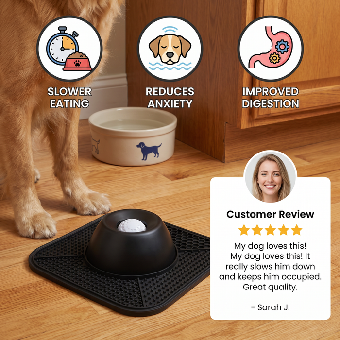2-in-1 Slow Feeder Dog Bowl with Lick Mat | Interactive Feeding Dish