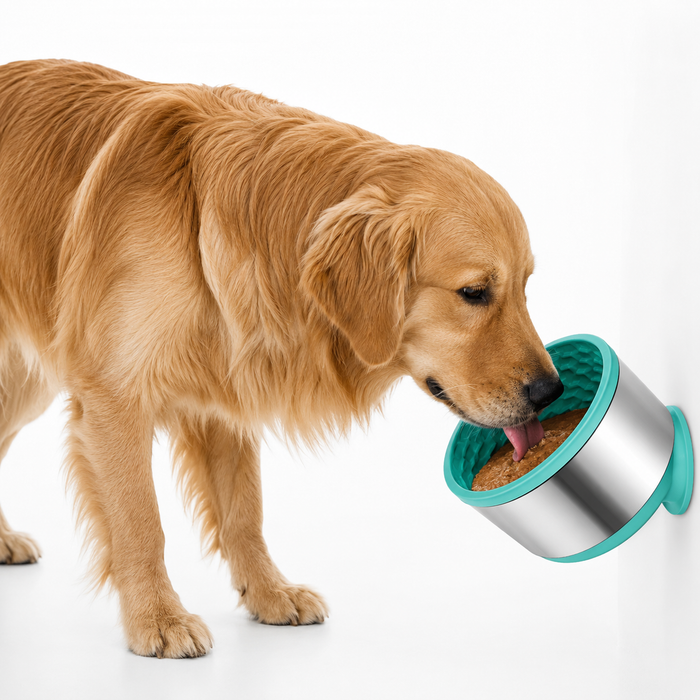 2-in-1 Slow Feeder Dog Bowl with Lick Mat & Non-Slip Suction Base
