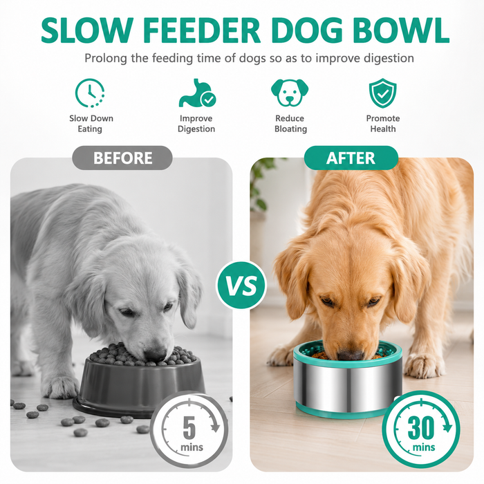 2-in-1 Slow Feeder Dog Bowl with Lick Mat & Non-Slip Suction Base