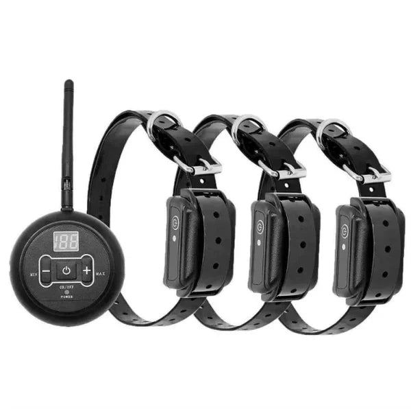 For 3 Dogs ( with 3 collar )
