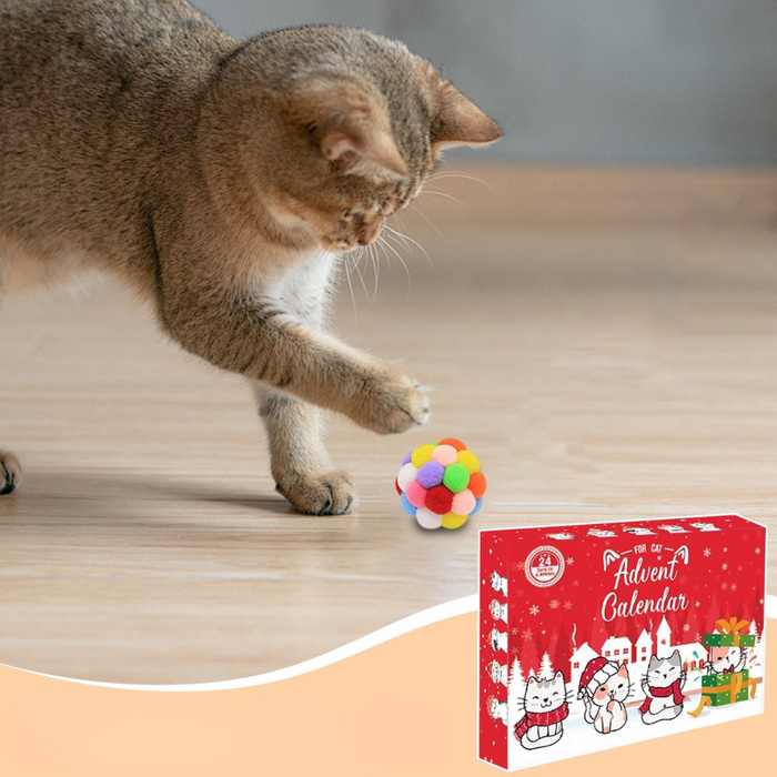 24-Day Cat Advent Calendar | Interactive Holiday Toy Gift Box for Cats