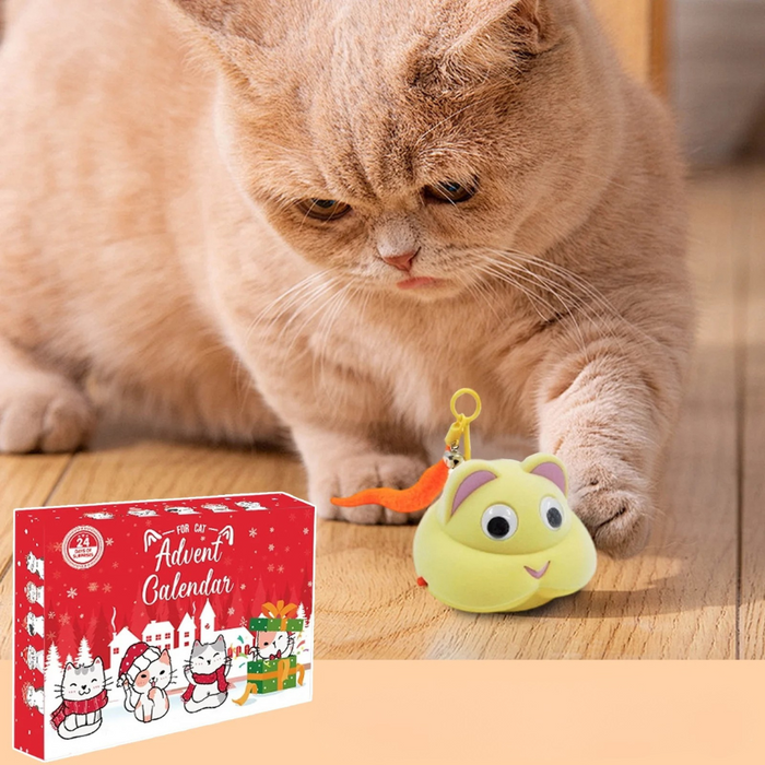 24-Day Cat Advent Calendar | Interactive Holiday Toy Gift Box for Cats