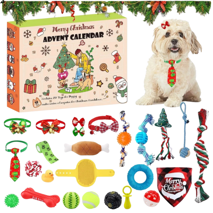 24-Day Dog Advent Calendar | Interactive Christmas Toy & Treat Gift Box