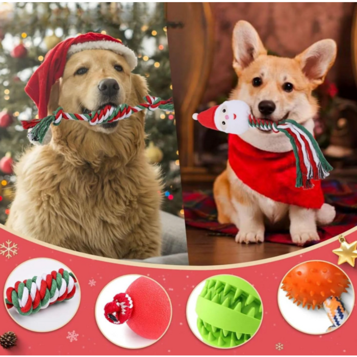 24-Day Dog Advent Calendar | Interactive Christmas Toy & Treat Gift Box