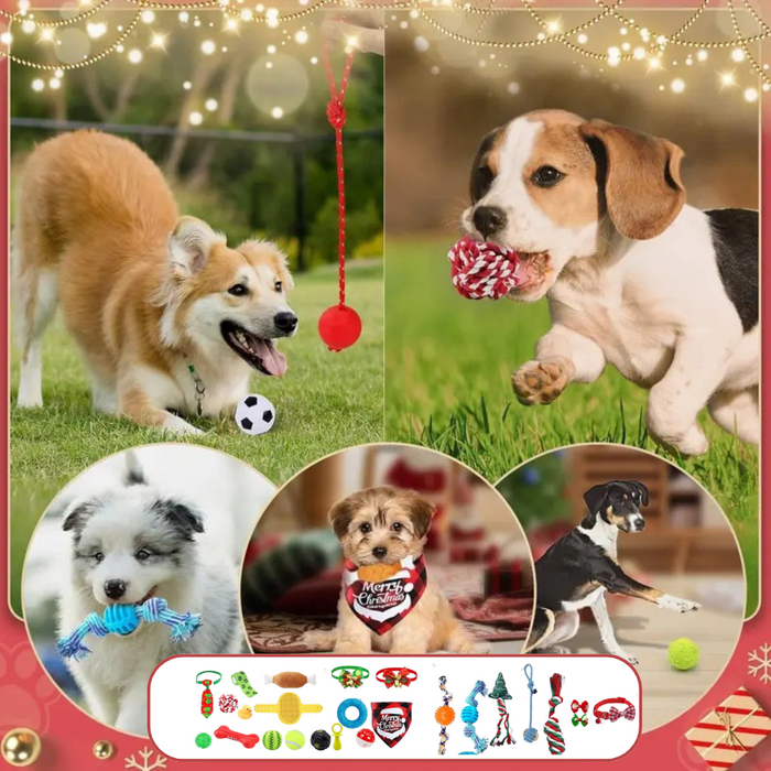 24-Day Dog Advent Calendar | Interactive Christmas Toy & Treat Gift Box