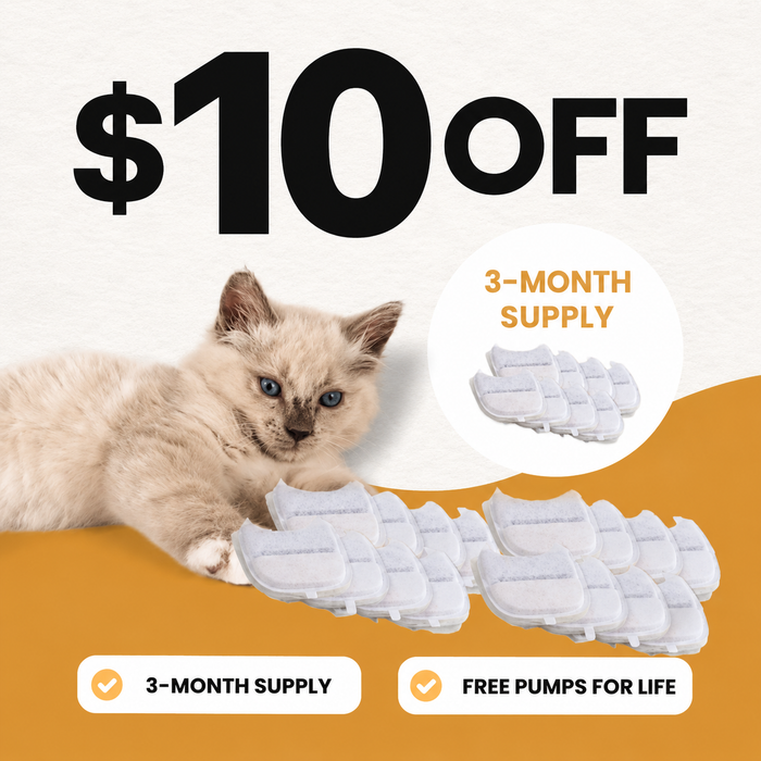 3-Month Filter Pack