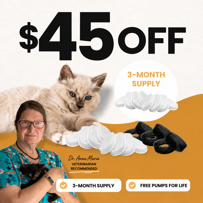 3-Month Filter Pack