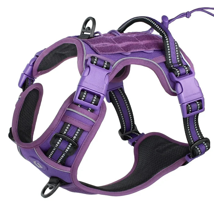 Purple / M