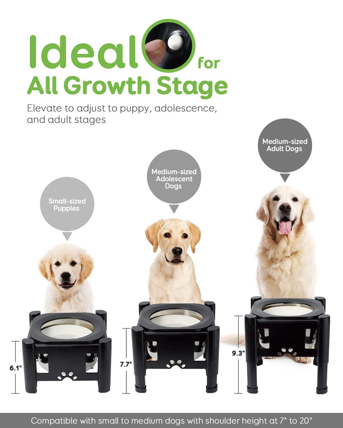 Adjustable Elevated Dog Bowls with Slow Feeder & Non-Slip Stand for Dogs & Cats
