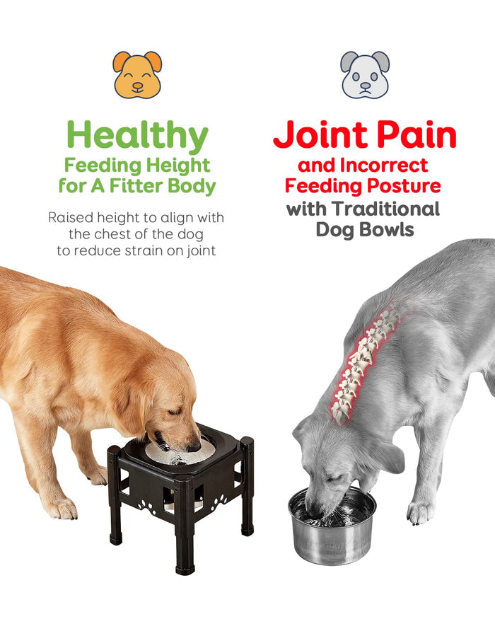 Adjustable Elevated Dog Bowls with Slow Feeder & Non-Slip Stand for Dogs & Cats