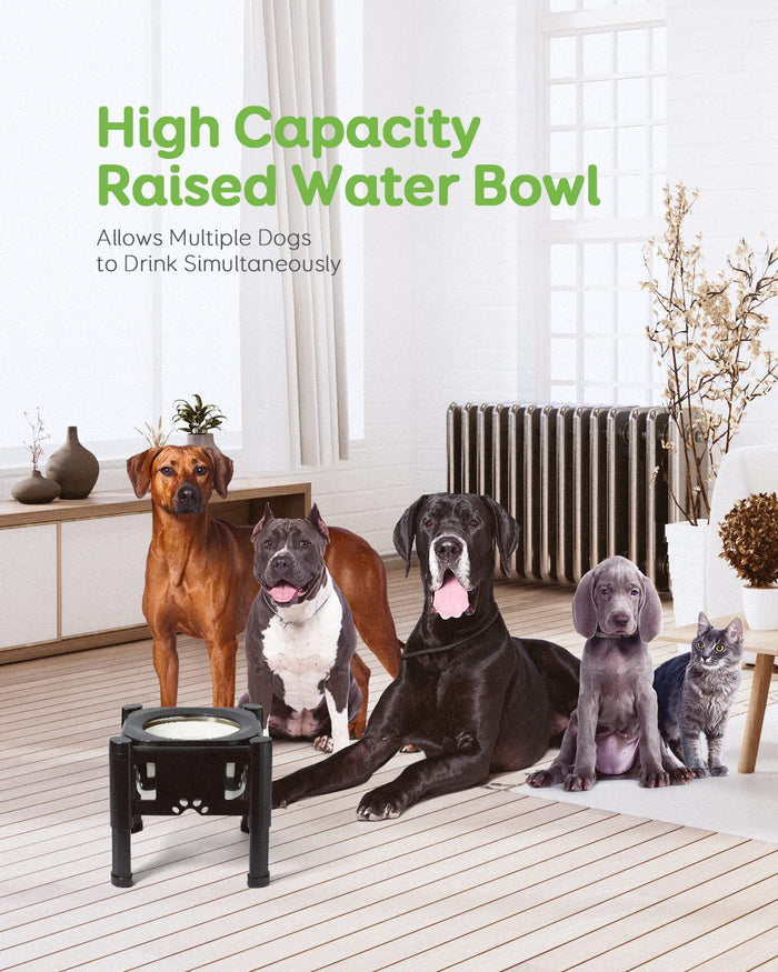 Adjustable Elevated Dog Bowls with Slow Feeder & Non-Slip Stand for Dogs & Cats