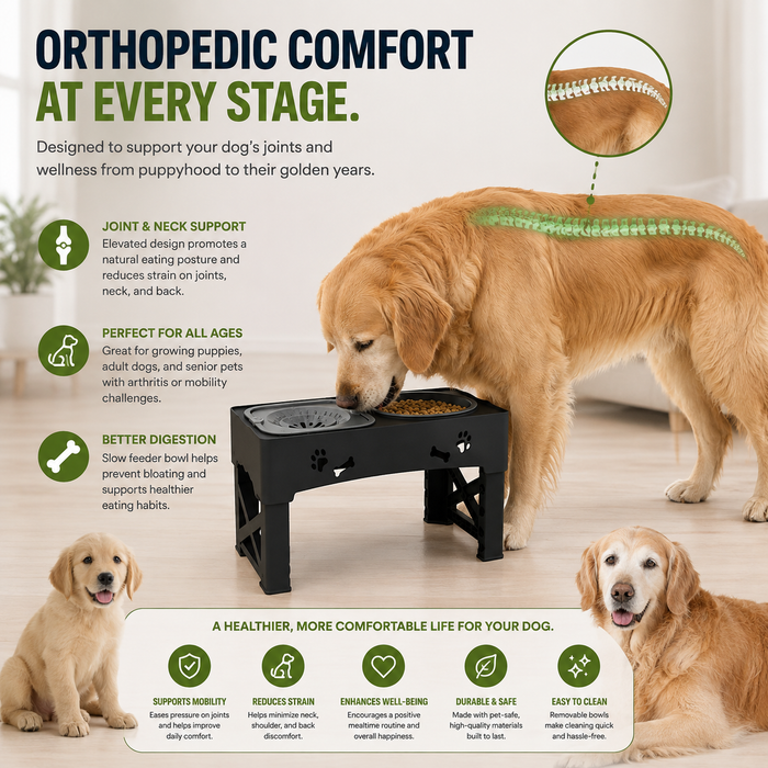 Adjustable Raised Dog Slow Feeder Bowl Stand | Elevated Pet Feeding Station