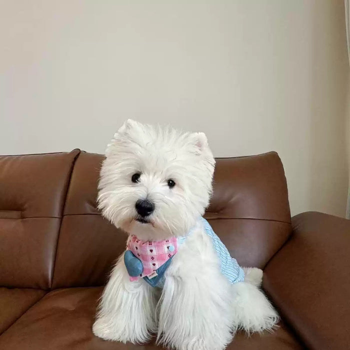 Adjustable Reversible Dog Bandana | Soft Bib - Stylish & Comfortable Fit