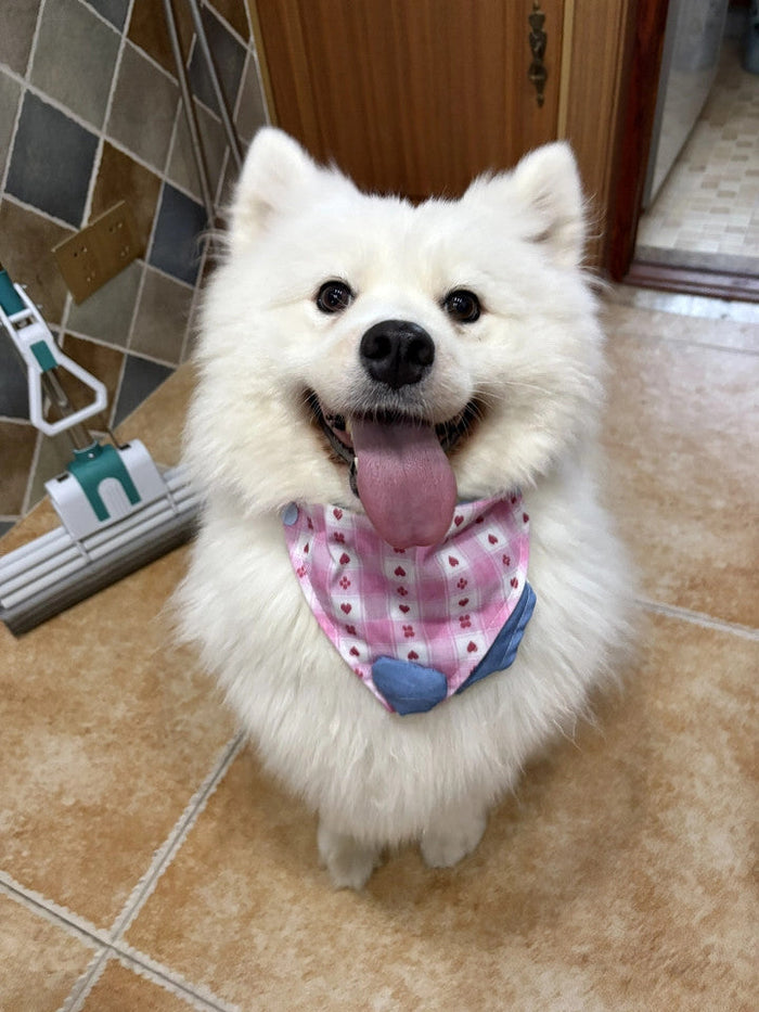 Adjustable Reversible Dog Bandana | Soft Bib - Stylish & Comfortable Fit