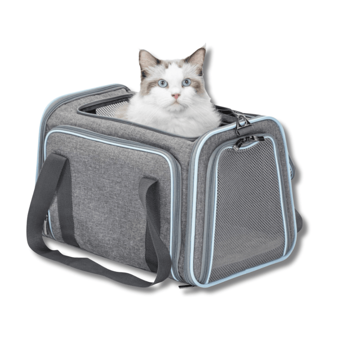 Airline Approved Dog & Cat Carrier – Soft Sided Pet Travel Carrier for Small Pets