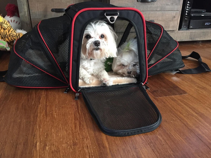 Airline Approved Dog & Cat Carrier – Soft Sided Pet Travel Carrier for Small Pets