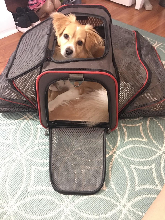 Airline Approved Dog & Cat Carrier – Soft Sided Pet Travel Carrier for Small Pets