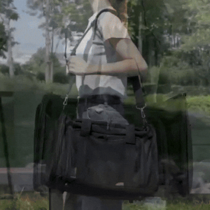 Airline Approved Dog Travel Carrier | Foldable Pet Bag with Breathable Mesh & Safety Clip