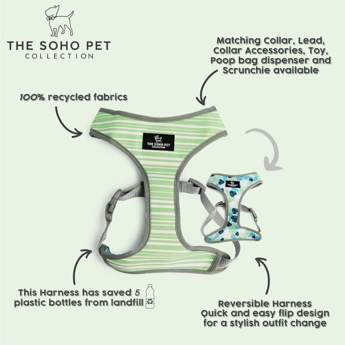 Ancol Soho Reversible Dog Harness | Green Stripe & Teal Leaf