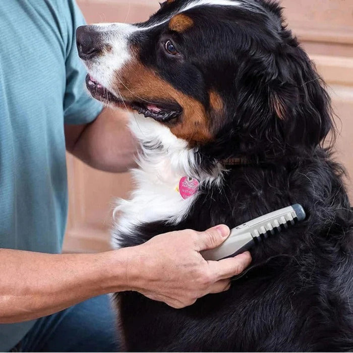 Anti-Tangle Pet Grooming Rake – Perfect for Dogs with Long, Thick, or Curly Hair