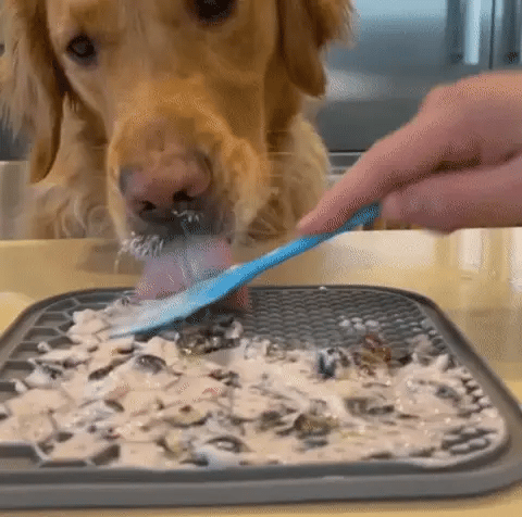 Anxiety-Relieving Lick Mat for Dogs & Cats | Slow Feeder & Enrichment Toy