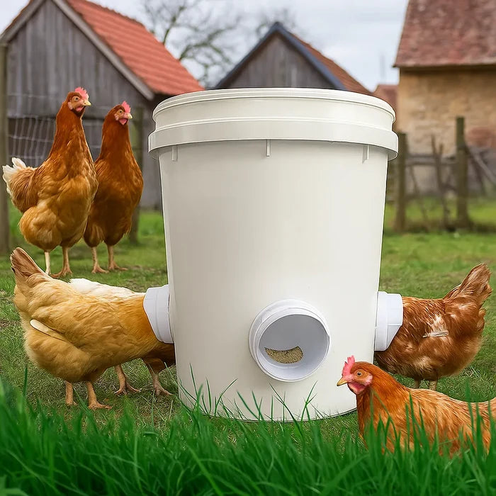 Automatic Chicken Feeder – Clean No-Waste Poultry Feeding System for Chickens & Hens