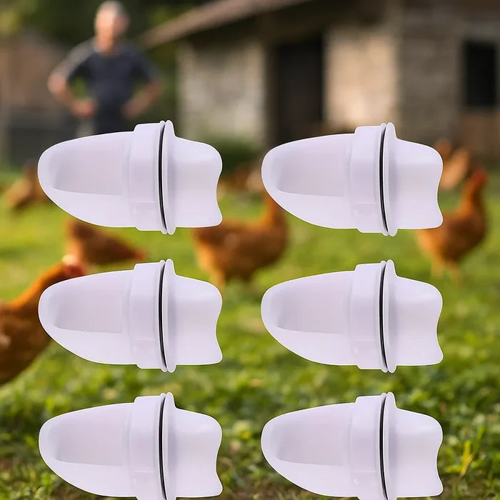 Automatic Chicken Feeder – Clean No-Waste Poultry Feeding System for Chickens & Hens