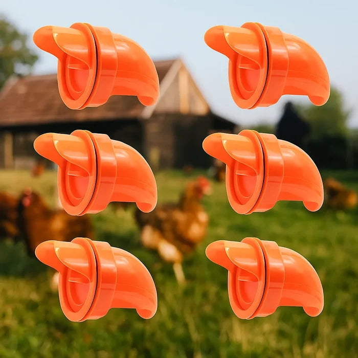 Automatic Chicken Feeder – Clean No-Waste Poultry Feeding System for Chickens & Hens