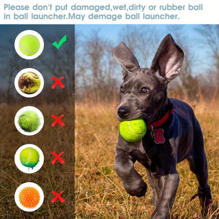 Automatic Dog Ball Launcher with Adjustable Distance & Tennis Balls