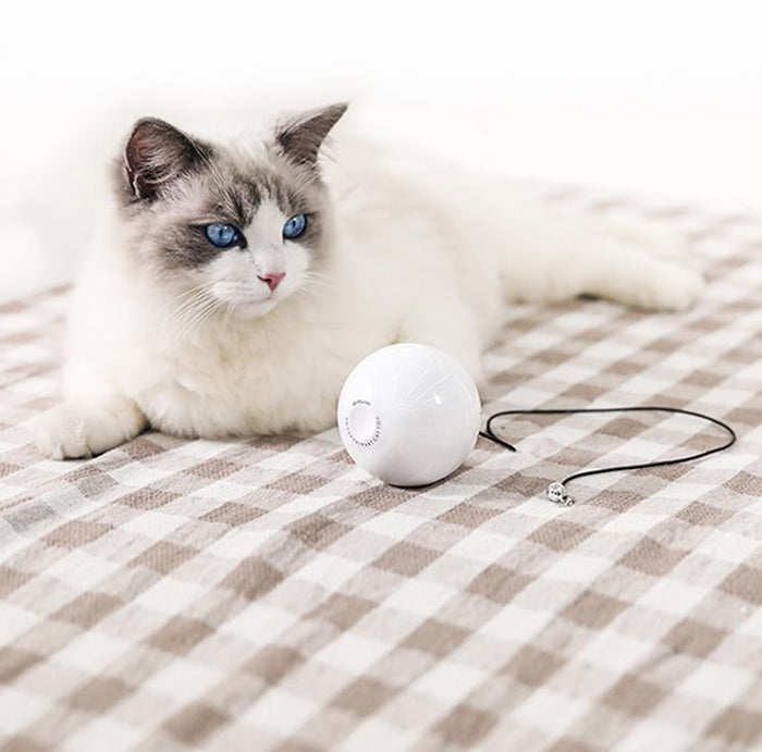 Automatic Smart Interactive Pet Toy Ball