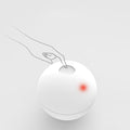 Automatic Smart Interactive Pet Toy Ball