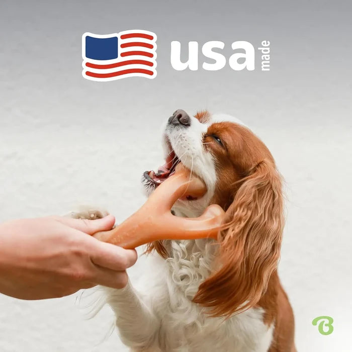 Bacon Flavored Wishbone Dog Chew Toy for Aggressive Chewers