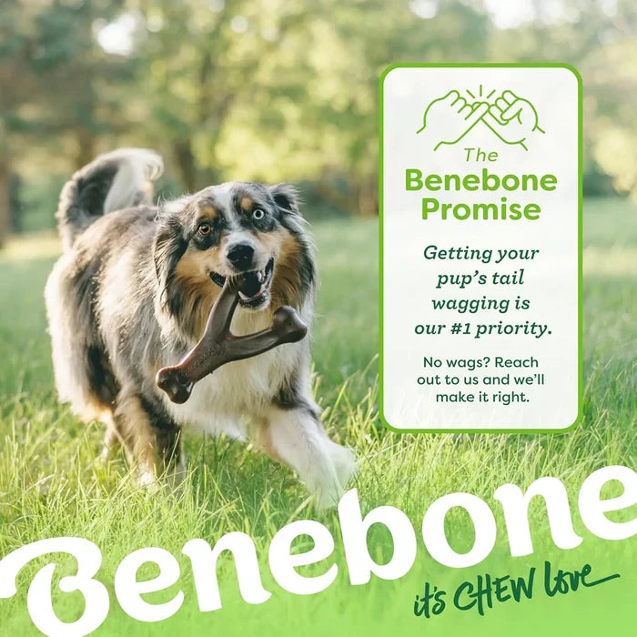 Bacon Flavored Wishbone Dog Chew Toy for Aggressive Chewers