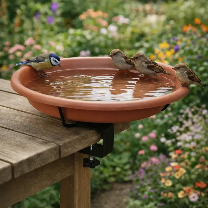 Balcony Bird Feeder & Bird Bath Station – Railing Mounted Bird Feeder
