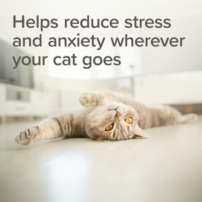 Beaphar Calming Collar for Cats | Herbal Stress Relief