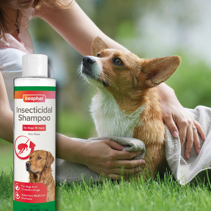 Beaphar Insecticidal Dog Shampoo | Fast-Acting Flea Control