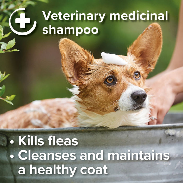 Beaphar Insecticidal Dog Shampoo | Fast-Acting Flea Control
