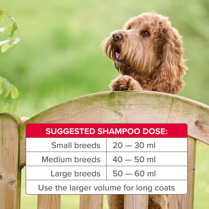 Beaphar Insecticidal Dog Shampoo | Fast-Acting Flea Control