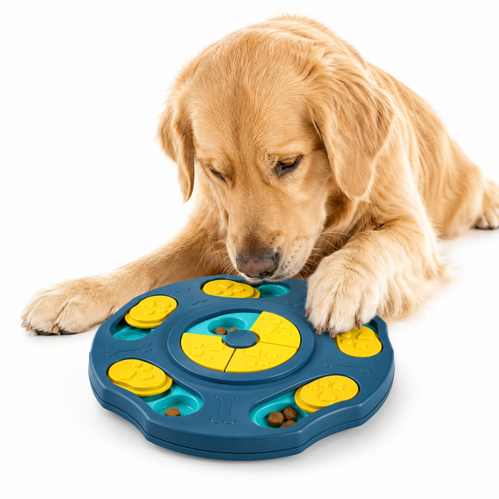 Beginner Dog Puzzle Toy for Mental Stimulation & Interactive Play