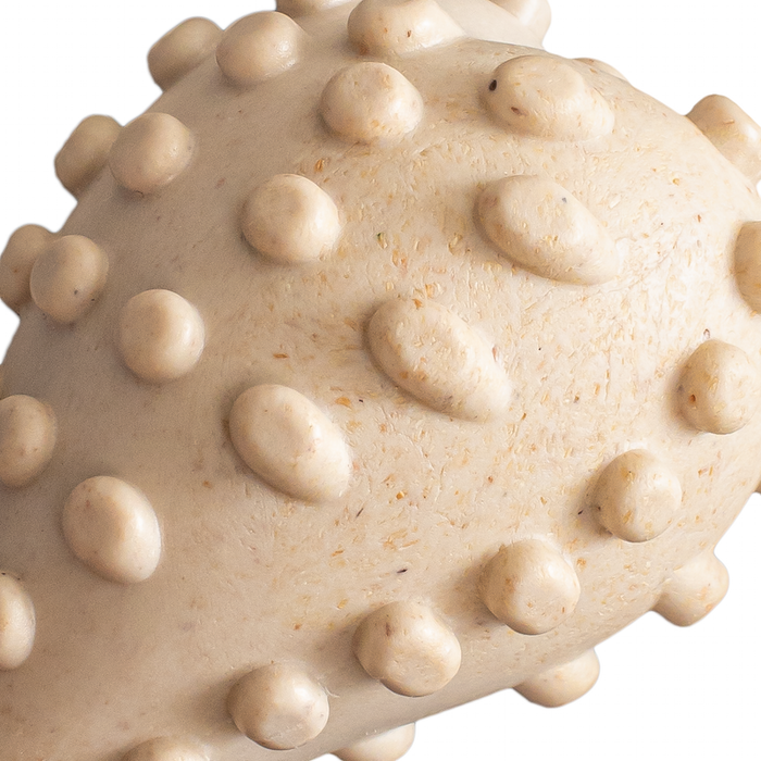 BetterBone | Dog Chew Toy | Medium Durability for Everyday Chewers - Beef Flavour