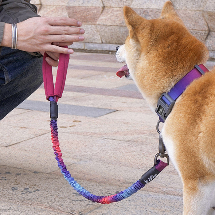Bianmu Medium Pet Walking Leash