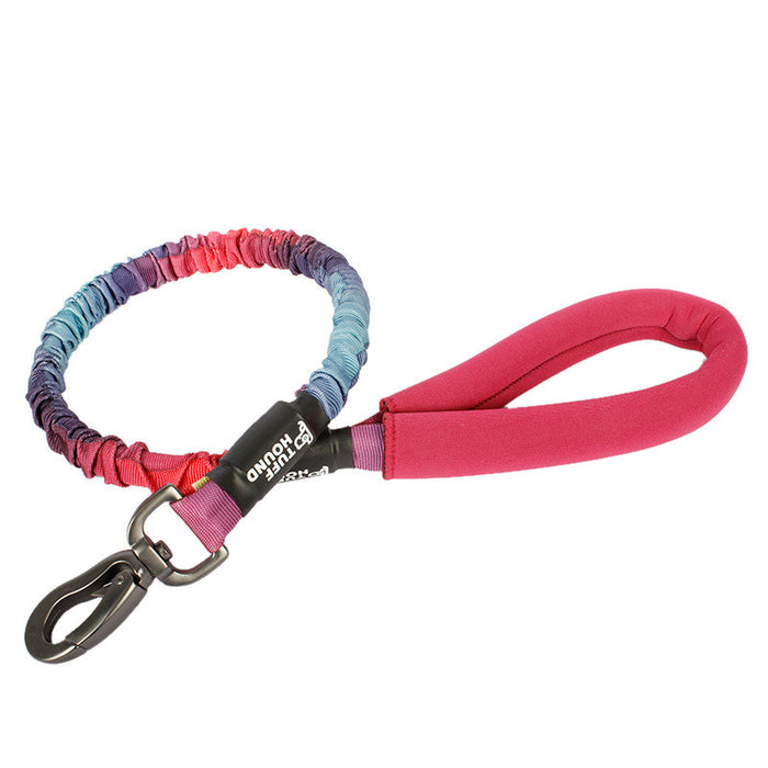 Bianmu Medium Pet Walking Leash