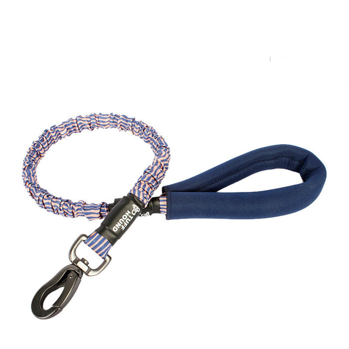 Bianmu Medium Pet Walking Leash