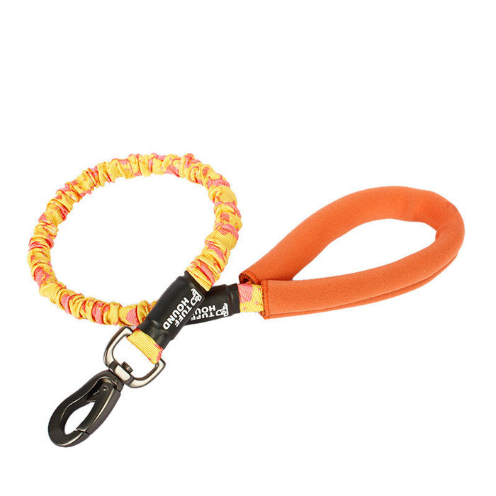 Bianmu Medium Pet Walking Leash