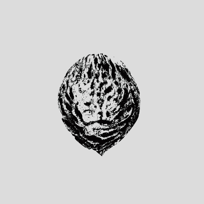 Black Lips - Bebop Armageddon (Detours & Offcuts From Season Of The Peach) - Fuzz Club