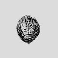 Black Lips - Bebop Armageddon (Detours & Offcuts From Season Of The Peach) - Fuzz Club