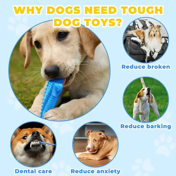Blue Crocodile Chew Toy for Dogs | Tough Durable Toy for Heavy Chewers