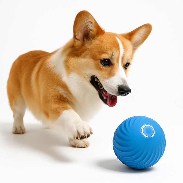 Bouncing Dog Ball Toy – Interactive Bounce Ball for Dogs