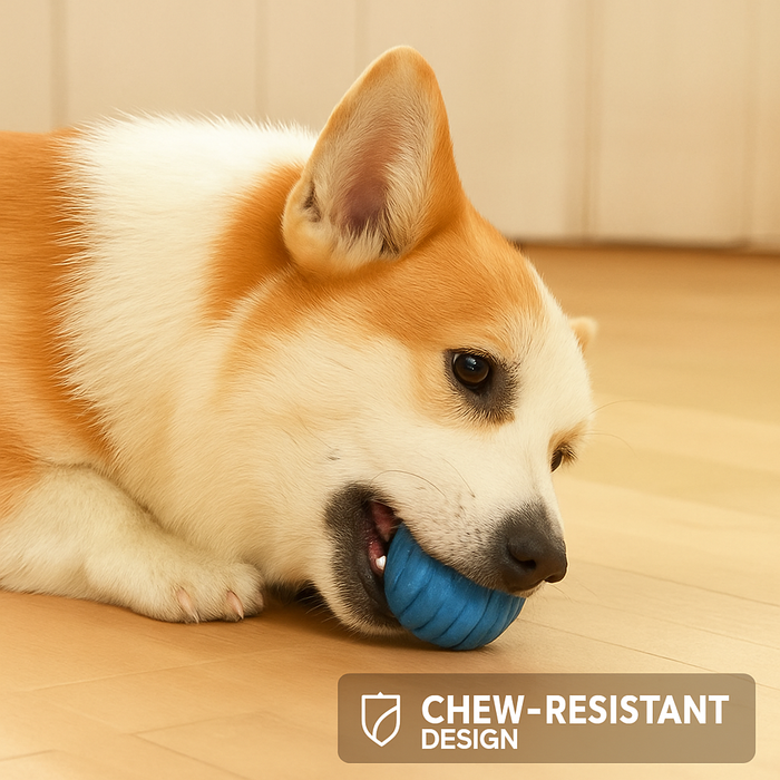 Bouncing Dog Ball Toy – Interactive Bounce Ball for Dogs
